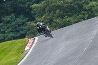 PJ-Motorsport-Photography-2020;anglesey;brands-hatch;cadwell-park;croft;donington-park;enduro-digital-images;event-digital-images;eventdigitalimages;mallory;no-limits;oulton-park;peter-wileman-photography;racing-digital-images;silverstone;snetterton;trackday-digital-images;trackday-photos;vmcc-banbury-run;welsh-2-day-enduro